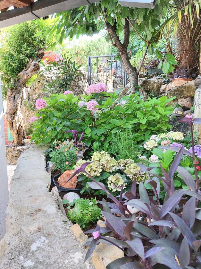 Villa Riva مولونات المظهر الخارجي الصورة